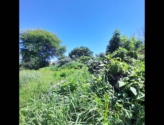 2,304M² VACANT LAND FOR SALE IN ZINNIAVILLE
